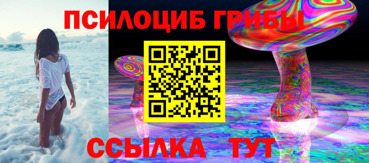 Кстово  Псилоцибиновые грибы мухоморы  Вход с VPN 
